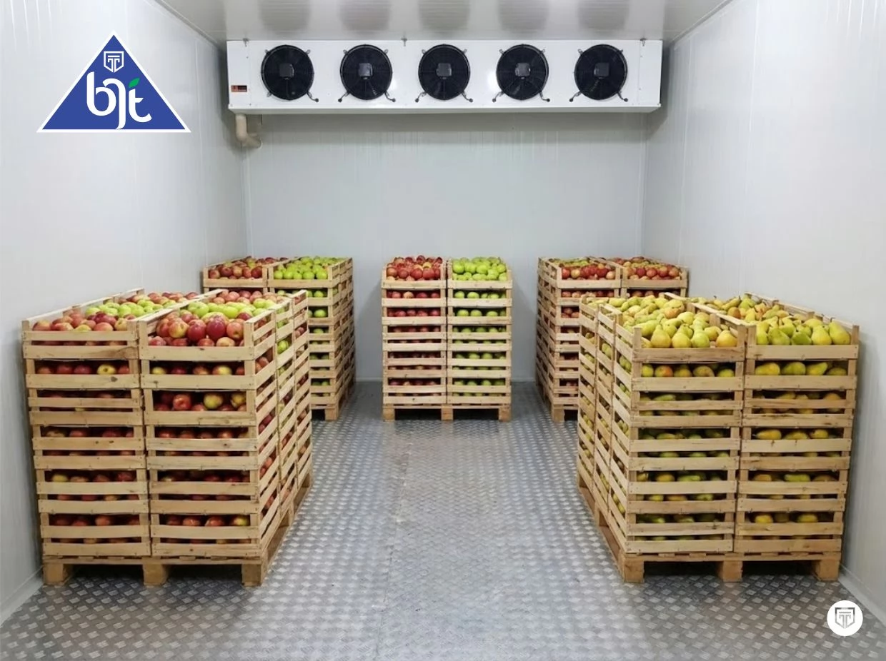 Chiller Cool Storage: Solusi Cerdas Menjaga Kesegaran Sayur dan Buah